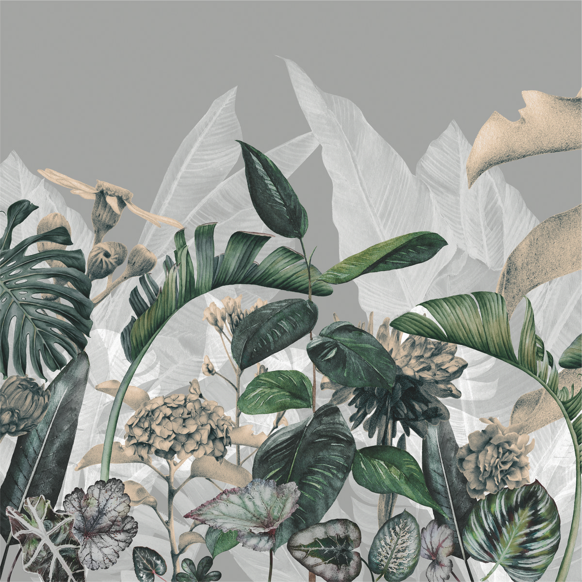 Ar0015_4
