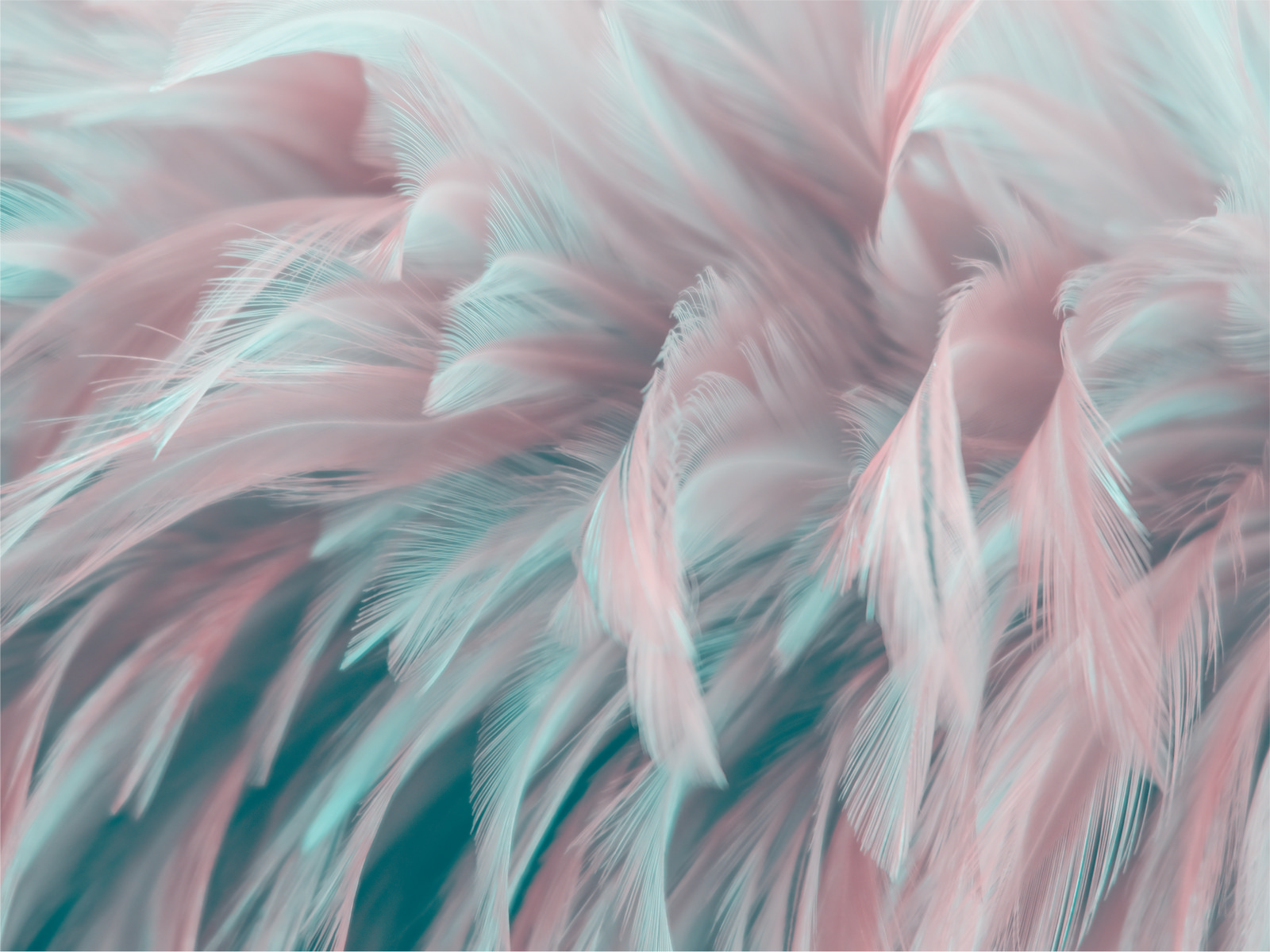 R0822