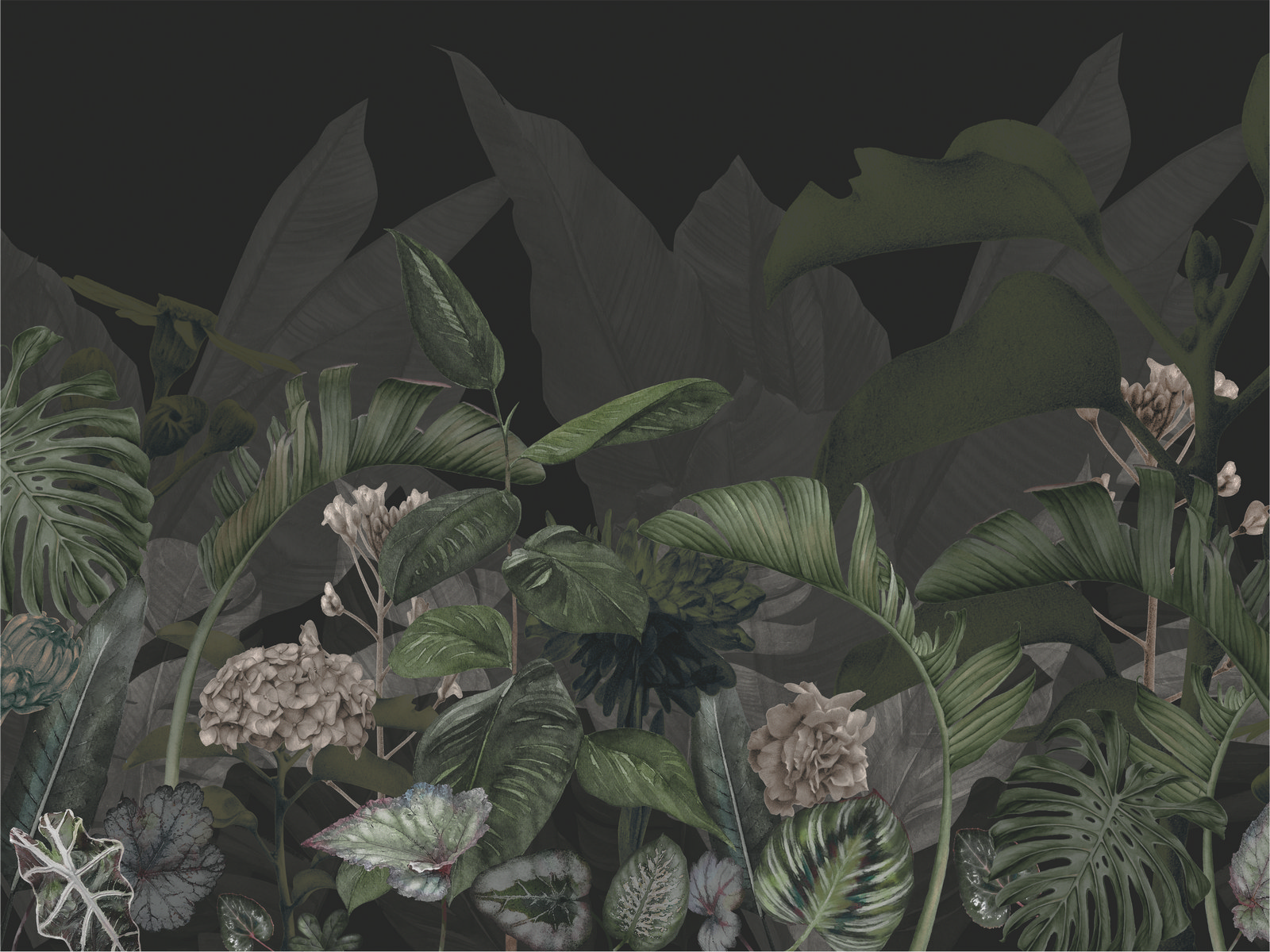 Ar0014_5