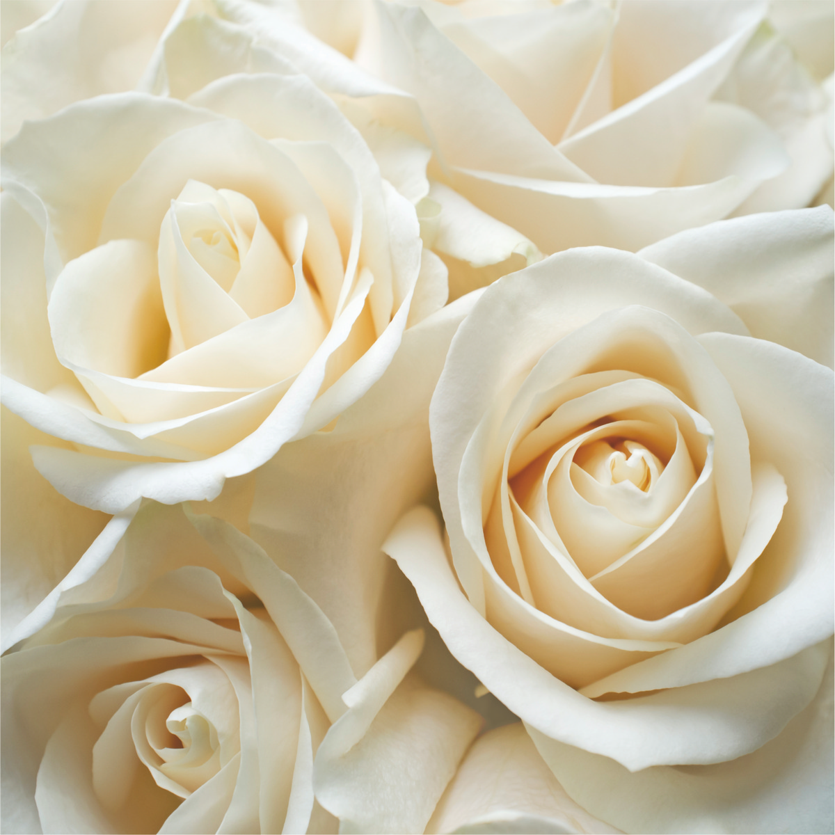 R0087