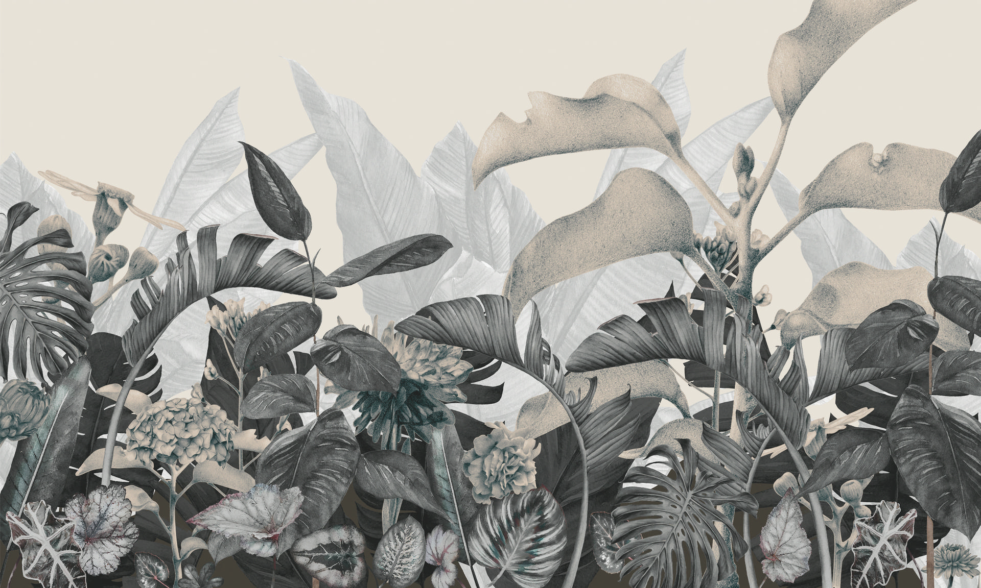 Ar0013_1
