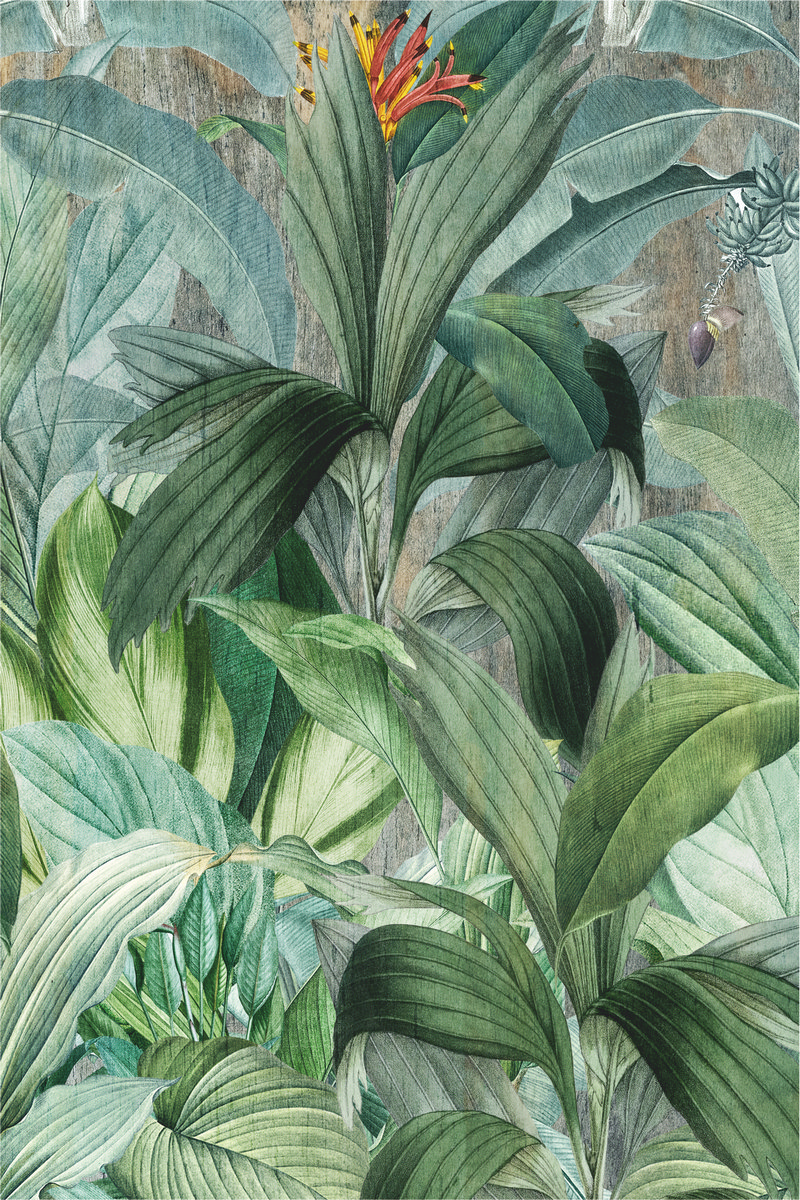 Ar0020_1