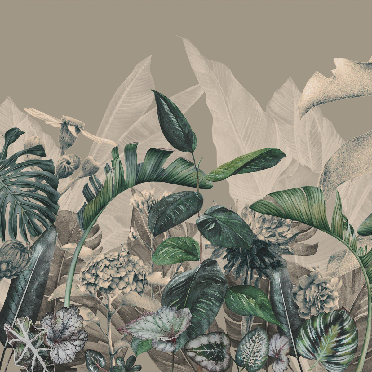 Ar0015_2